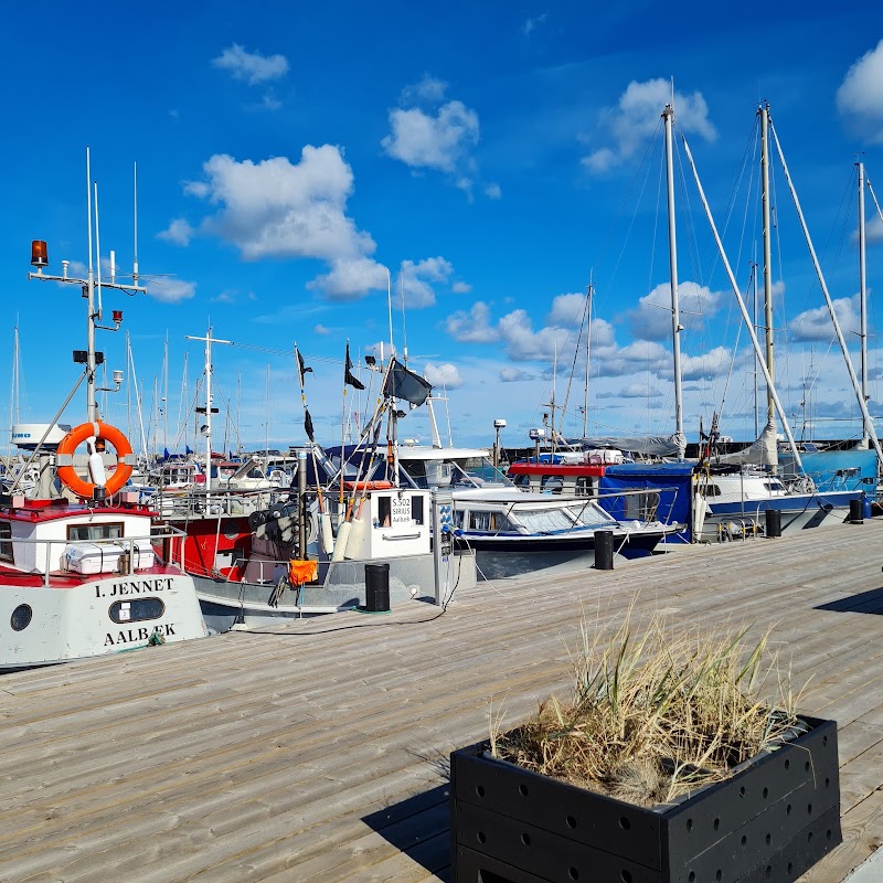 Aalbæk Havn i Ålbæk