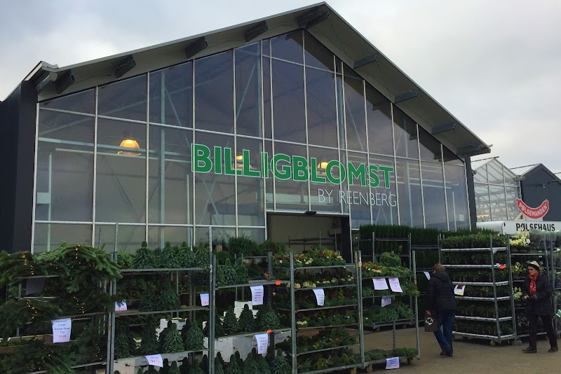 Billigblomst Aalborg i Aalborg