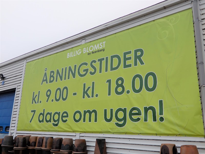 Billigblomst Aarhus i Aarhus