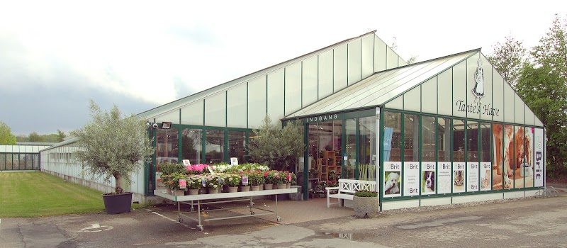 Billigblomst Fredericia