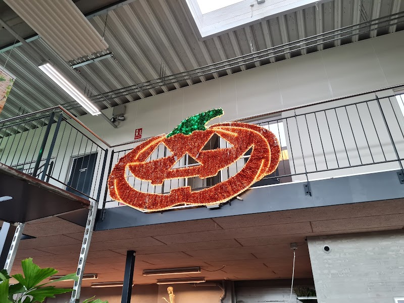 Billigblomst Herning