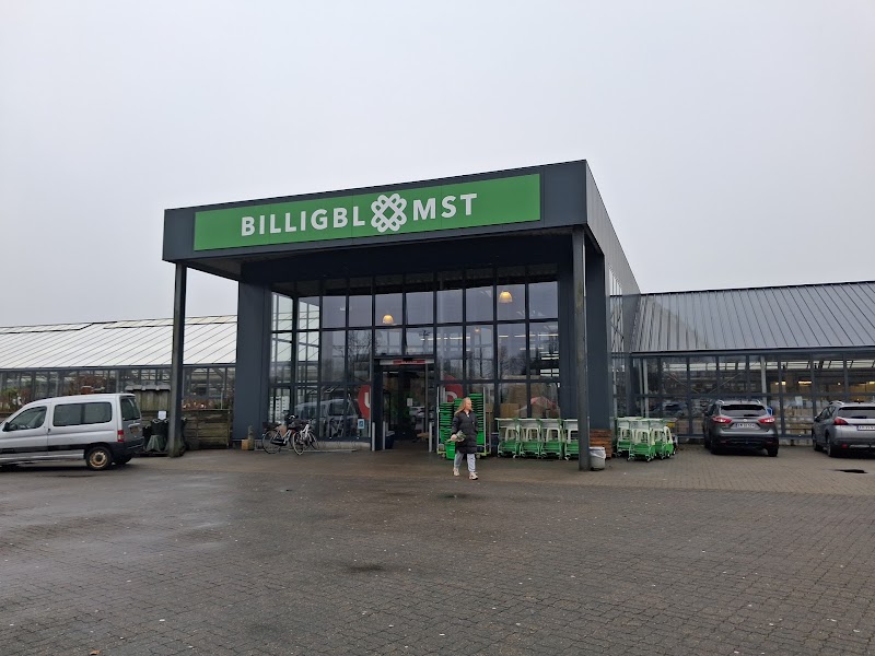 Billigblomst Herning i Herning