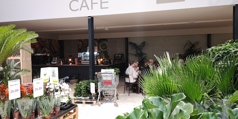 Billigblomst Hillerød