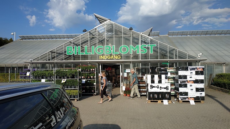 Billigblomst Næstved i Holmegaard