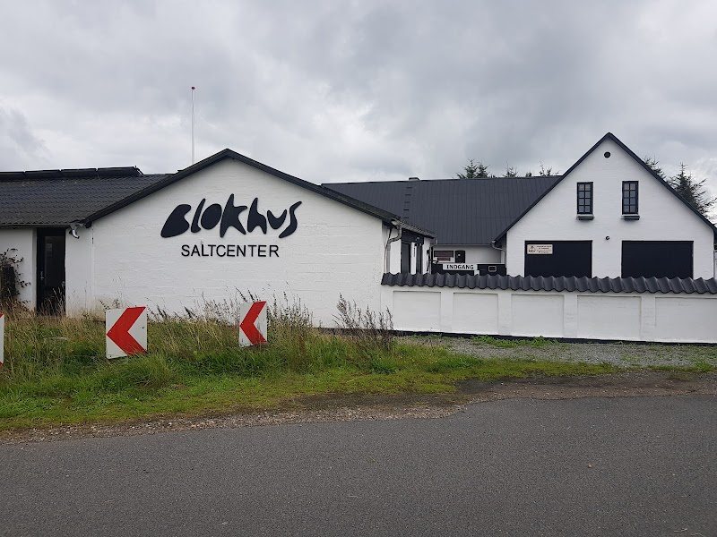 Blokhus Salt