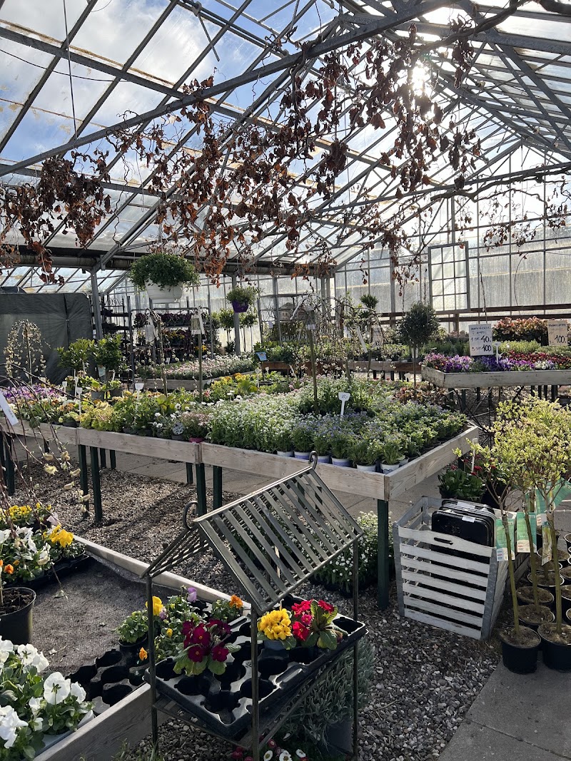 BlomsterBixen i Dronninglund