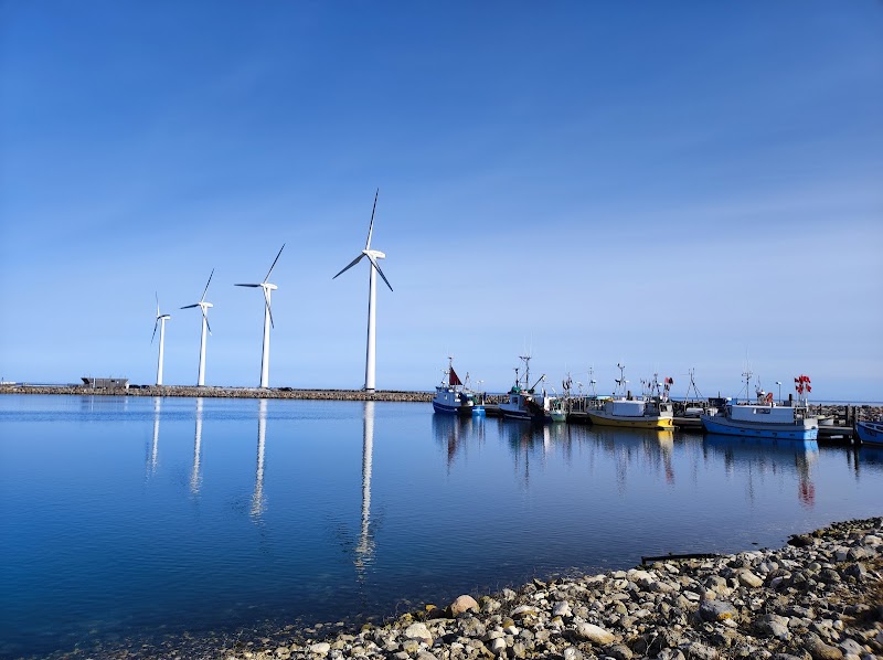 Bønnerup Yachthafen, Hafen und Strand