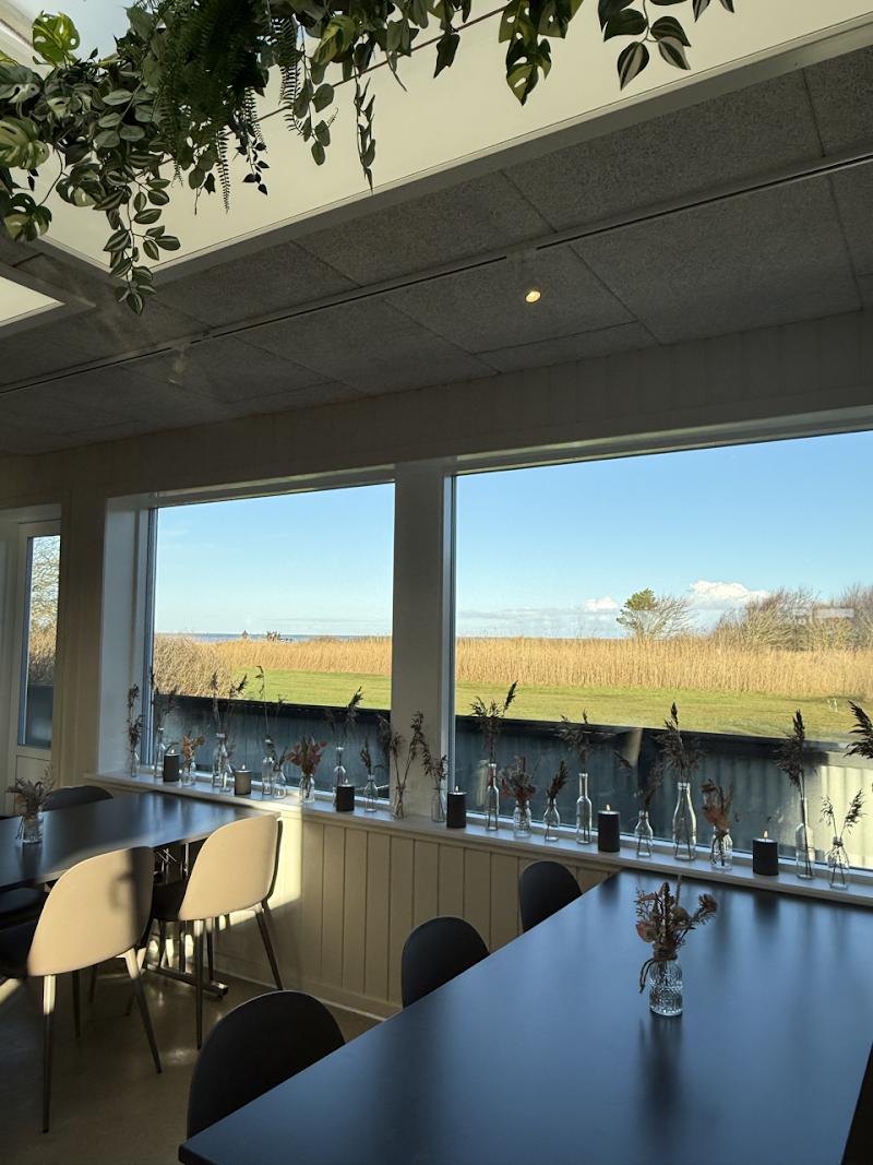 Café Havnefryd i Hemmet