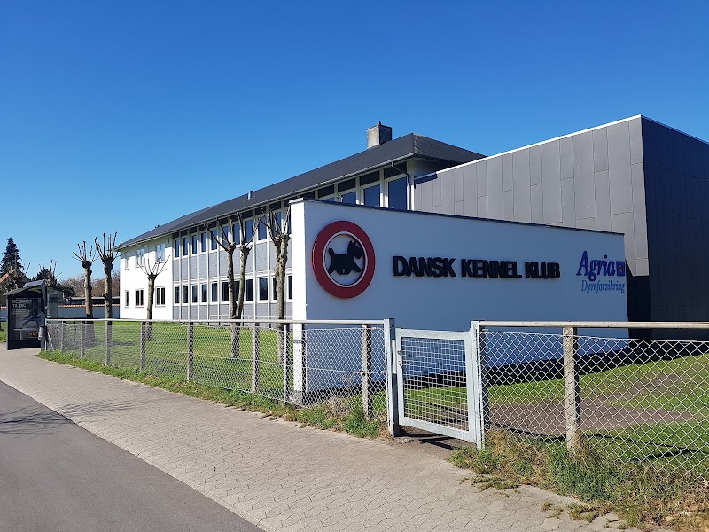 Dansk Kennel Klub i Solrød Strand