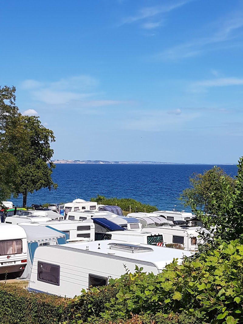 DCU-Camping Aarhus - Blommehaven i Højbjerg