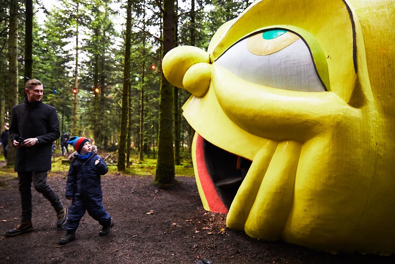 Deep Forest Art Land