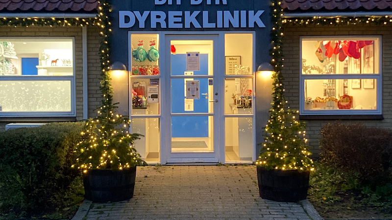 Dyreklinikken Dit Dyr/v Dyrlæge Christina Gulløv
