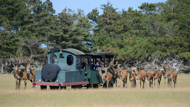 Fun-park i Hirtshals