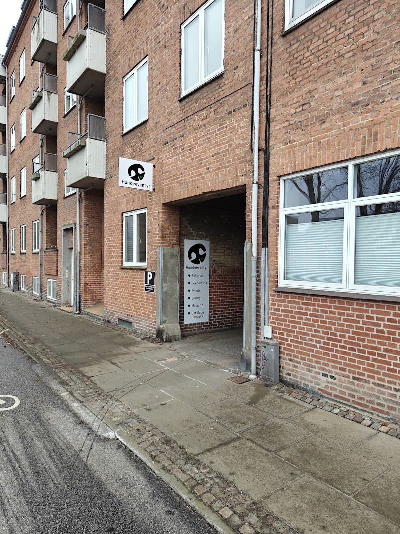 Hundeeventyr i Aalborg