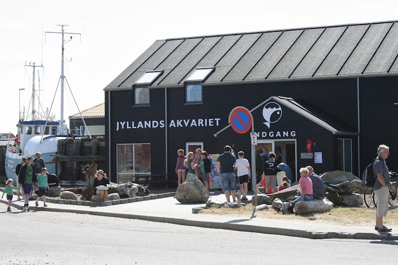 Jyllandsakvariet Thyborøn i Thyborøn