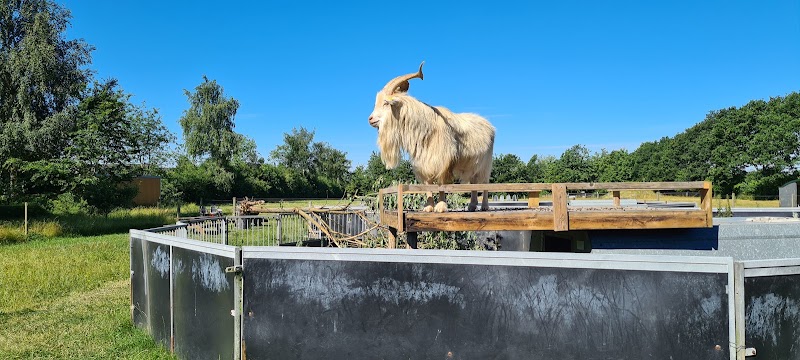 Lægårdens Camping i Karise