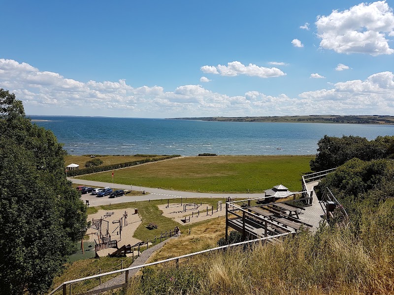 Limfjordsperle ved Gjellerodde Strand