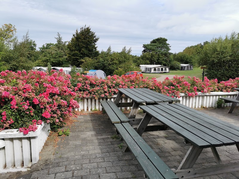 Lyngholt Familiecamping