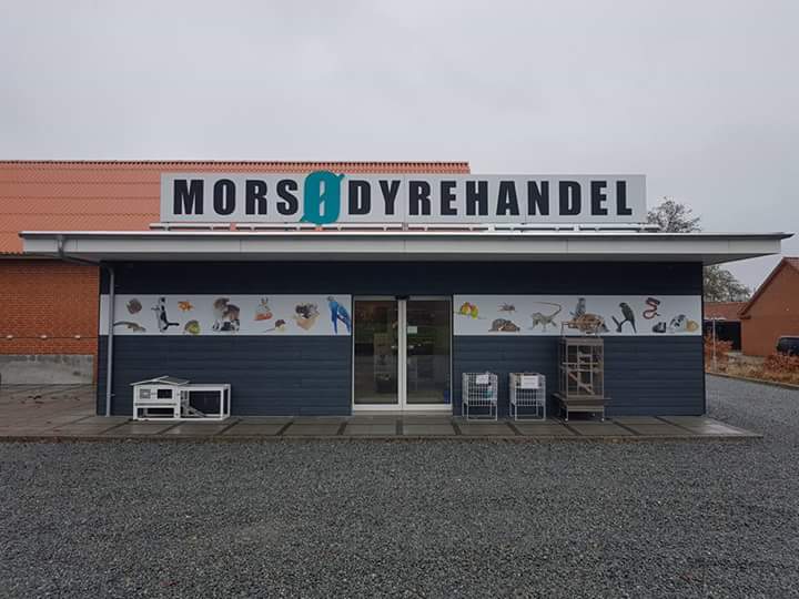 Morsø Hobbyfisk og Dyrehandel i Nykøbing Mors
