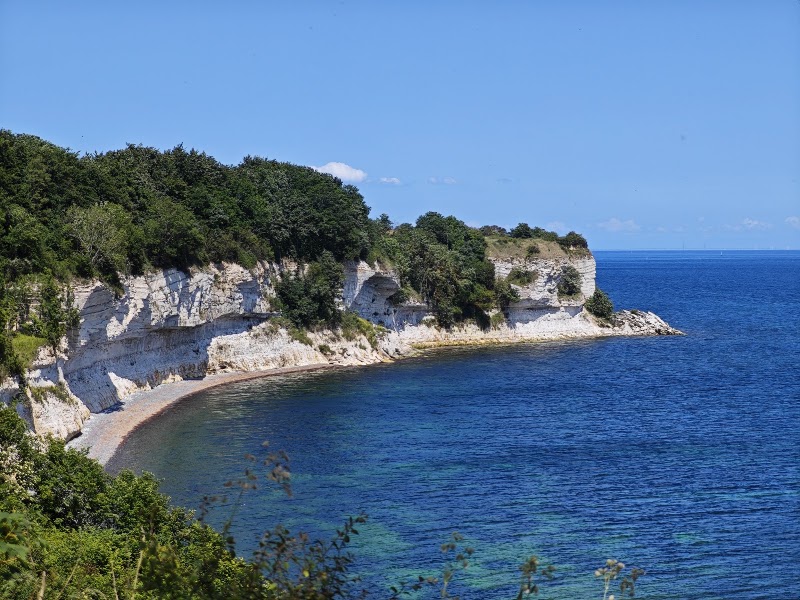Naturligedyr Greve i Greve