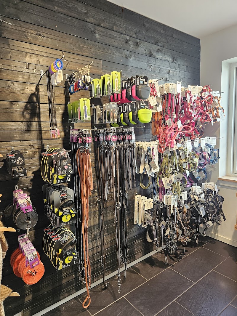 Naturligedyr Solrød Strand