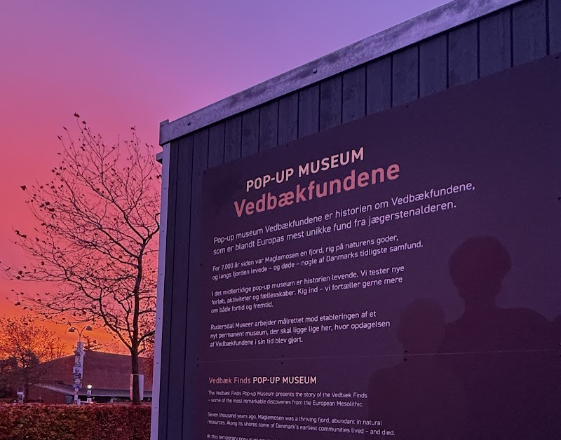 Pop-up museum Vedbækfundene i Vedbæk