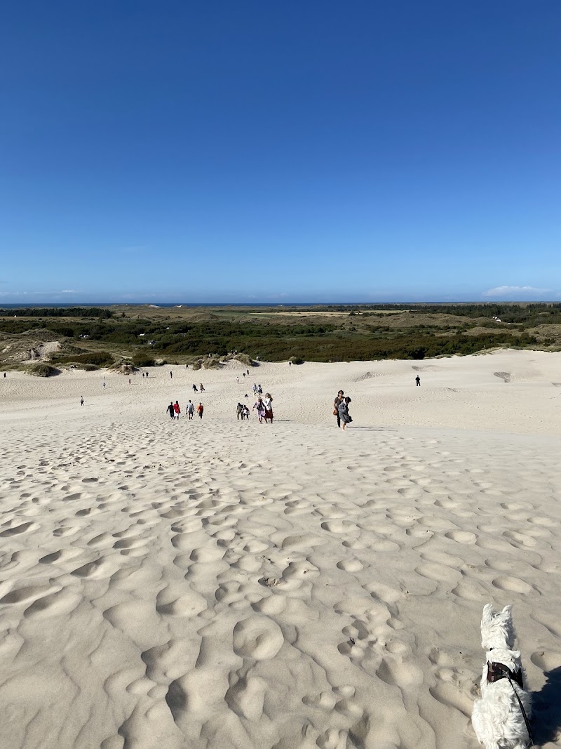 Råbjerg Mile i Skagen