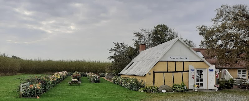 Ravgården Ravsliberi Butik og Museum