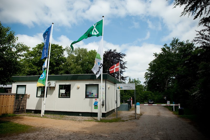 Ringkøbing Camping
