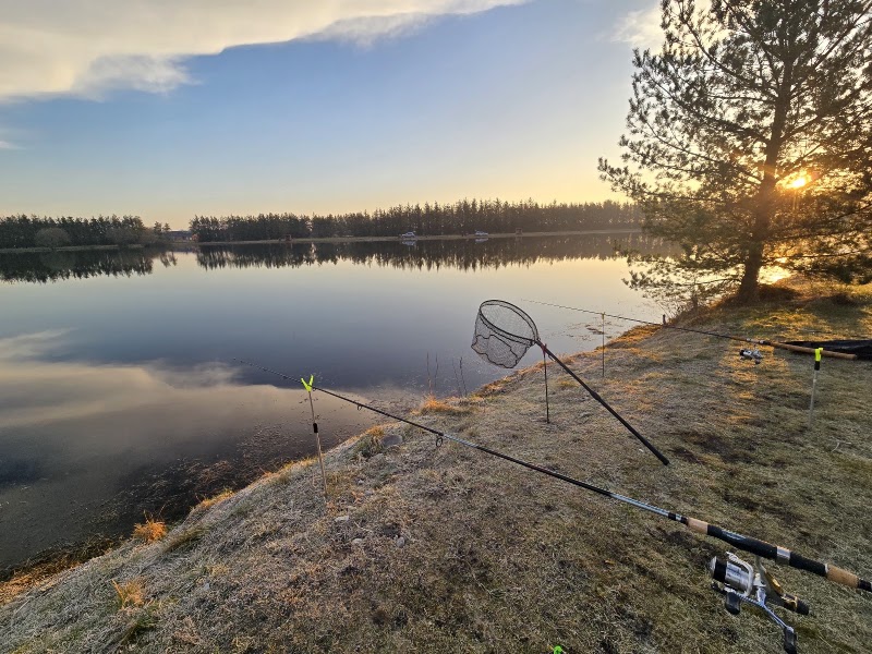 Rødekro Fiskepark i Rødekro