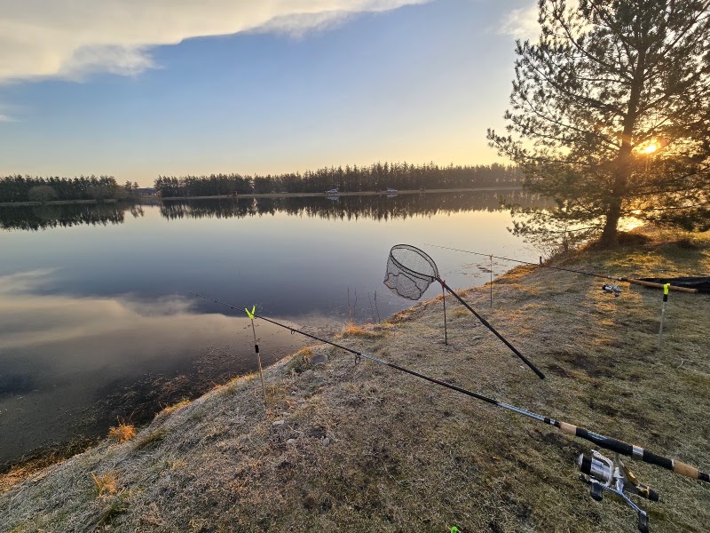 Rødekro Fiskepark i Rødekro