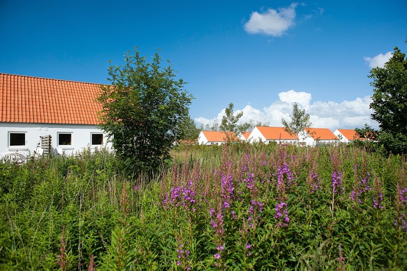Skagen Strand Resort i Skagen