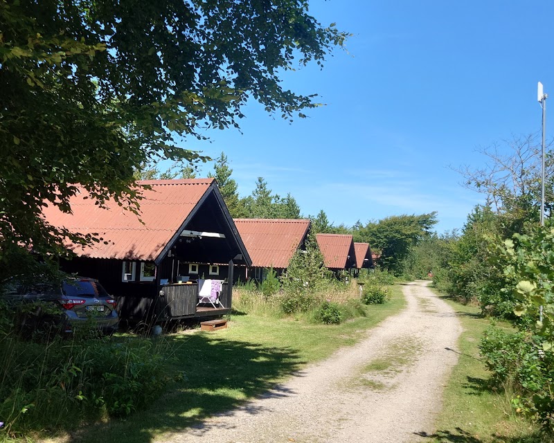 Tranum Klit Camping i Brovst